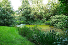 Cuxland, Stinstedt, Am Teich, Sommer 2021