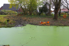 Cuxland, Stinstedt, November 2023, Schneide- und Aufräumarbeiten am Regenrückhaltebecken