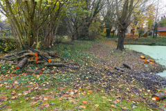 Cuxland, Stinstedt, November 2023, Schneide- und Aufräumarbeiten am Regenrückhaltebecken