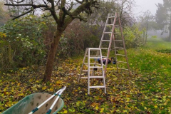Cuxland, Stinstedt, November 2023, Schneide- und Aufräumarbeiten am Regenrückhaltebecken