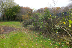 Cuxland, Stinstedt, November 2023, Schneide- und Aufräumarbeiten am Regenrückhaltebecken