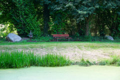 Cuxland, Stinstedt, Juni 2024, Blick  über den Teich