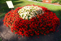 Cuxland, Stinstedt, August 2024, Neu angelegtes Blumenbeet