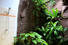 Sumatra, Leuser Nationalpark, Bukit Lawang Cottage, Dusche im Grünen