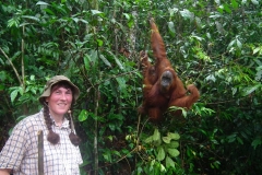 Sumatra, Leuser Nationalpark