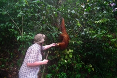Sumatra, Leuser Nationalpark