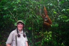 Sumatra, Leuser Nationalpark