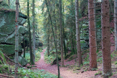 Rheinland-Pfalz, Südeifel, Grüne Hölle