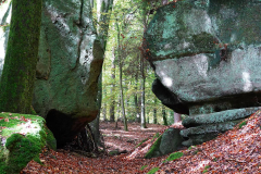 Rheinland-Pfalz, Südeifel, Grüne Hölle