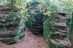 Rheinland-Pfalz, Südeifel, Grüne Hölle, Eulenhorst
