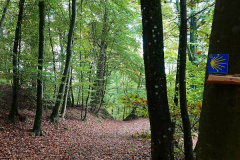 Rheinland-Pfalz, Südeifel, Jakobsweg