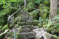 Bayern, Altmühltal, Klamm bei Prunn