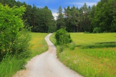 Bayern, Oberpfalz