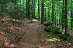 Bayern, Oberpfalz