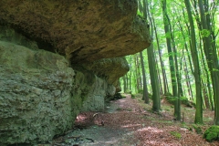 Bayern, Oberpfalz, Steinwald