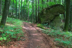 Bayern, Oberpfalz, Steinwald