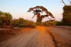 Botswana, Chobe Nationalpark