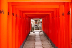 Japan, Osaka, Tenman-gu Schrein, Torii-Gang