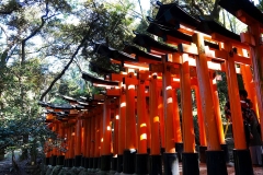 Japan, Kyoto, Fushimi Inari Schrein, Torii-Gang