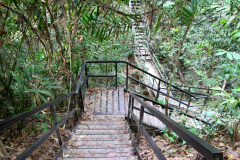 Malaysia, Taman Negara Nationalpark