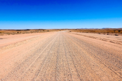 Namibia, Namib Naukluft Nationalpark, Wendekreis des Steinbocks