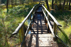 Niedersachsen, Rotenburg, Nordpfad Dör't Moor, Schwingrasenbrücke