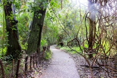 Simbabwe, Victoria Falls
