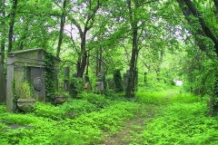 Ungarn, Budapest, Jüdischer Friedhof Zsido Temeto