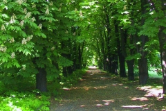 Ungarn, Budapest, Kastanienweg