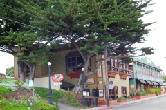 USA, Kalifornien, Monterey