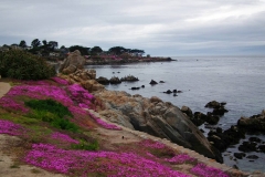 USA, Kalifornien, Monterey