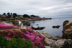 USA, Kalifornien, Monterey