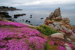 USA, Kalifornien, Monterey
