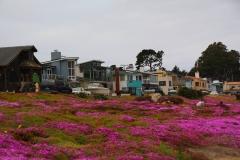USA, Kalifornien, Monterey