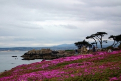 USA, Kalifornien, Monterey