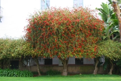 USA, Kalifornien, Santa Barbara