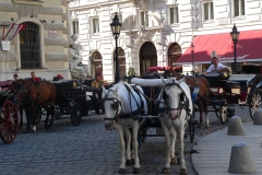 Österreich, Wien, Fiaker