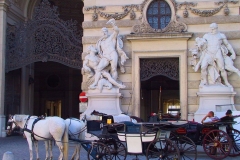 Österreich, Wien, Fiaker