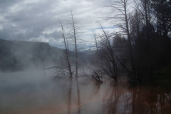 Yellowstone Nationalpark