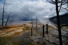 Yellowstone Nationalpark