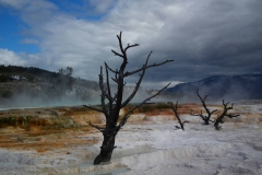 Yellowstone Nationalpark