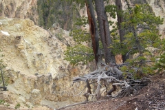 Yellowstone Nationalpark