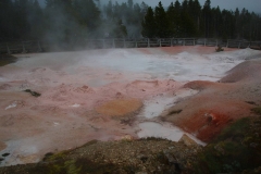 Yellowstone Nationalpark
