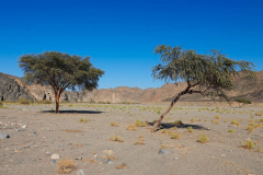 Ägypten, Eastern Desert