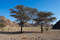 Ägypten, Eastern Desert