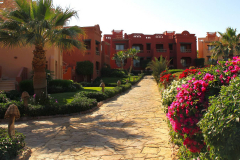Ägypten, Rotes Meer, Sharm El Sheikh 2011