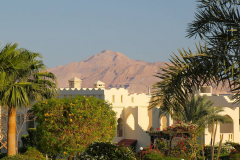 Ägypten, Rotes Meer, Sharm El Sheikh 2011
