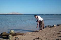 Ägypten, Rotes Meer, Sharm El Sheikh 2011
