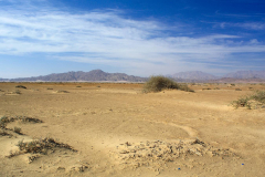 Ägypten, Sinai-Halbinsel 2009