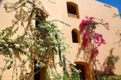 Ägypten, Rotes Meer, Marsa Alam 2014